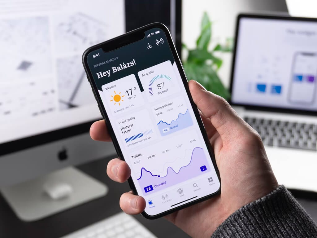 Riva voice assistant — application screenshot